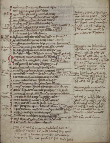 Codex Universitatis Bruxellensis