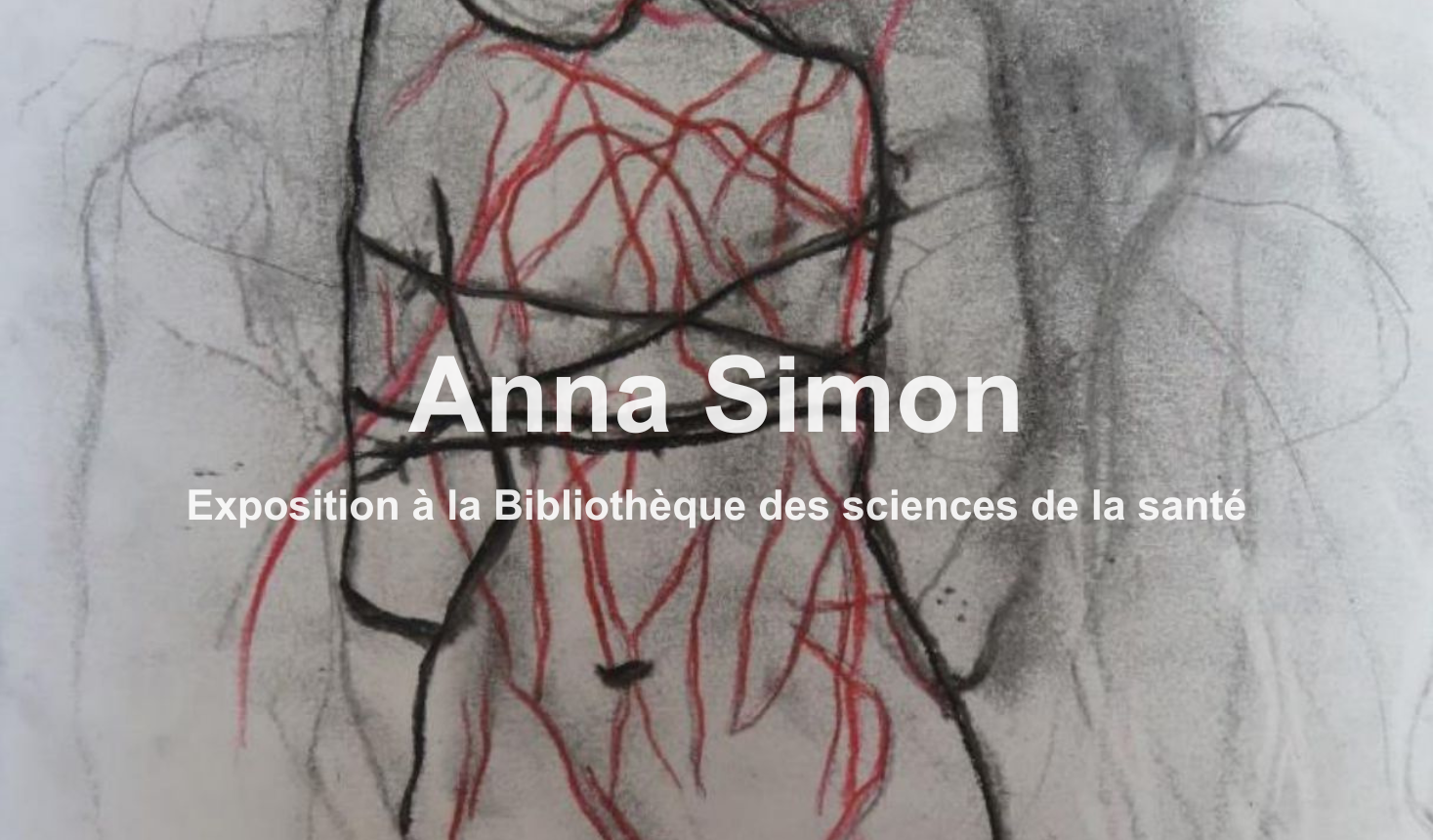 Anna Simon