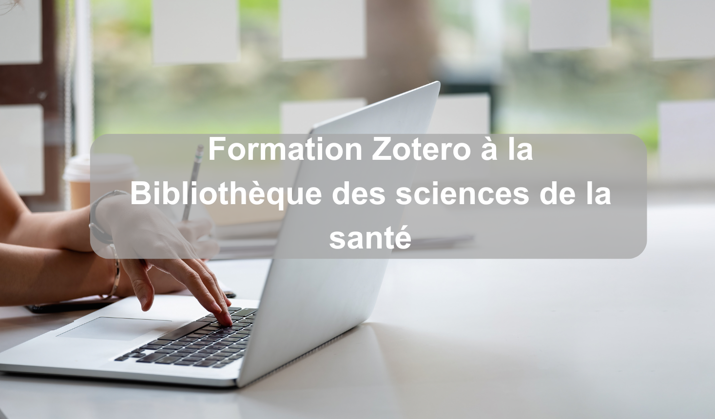 Formation Zotero